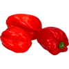 Imagem de Malagueta Habanero Embalagem 200g