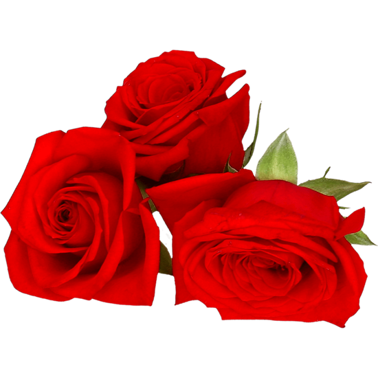 Imagem de Flores Decorativas "Rosa" Embalagem 10g