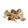 Imagem de Cogumelos Pleurothus Embalagem 1kg