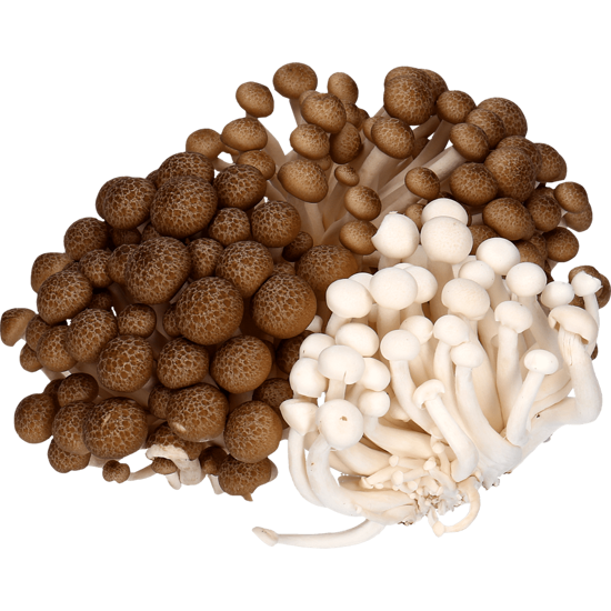 Imagem de Cogumelos Shimeji Embalagem 1kg