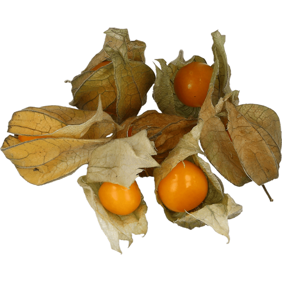 Imagem de Physalis Embalagem 100g