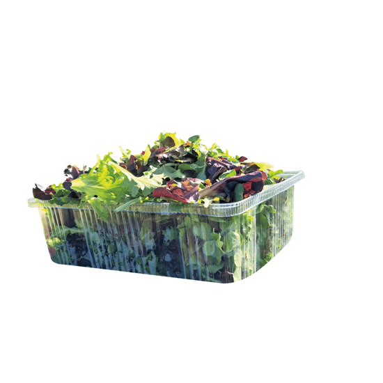 Imagem de Salada Mesclum Embalagem 1kg