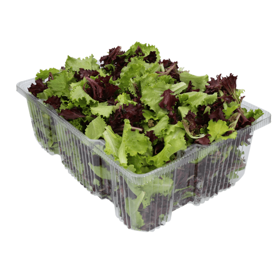 Imagem de Salada de Alface Roxa e Verde Embalagem 1kg