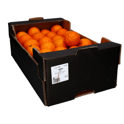 Mostrar detalhes para Laranjas Calibre 6/7 10kg (kg) Imagem de Laranjas Calibre 6/7 10kg (kg)