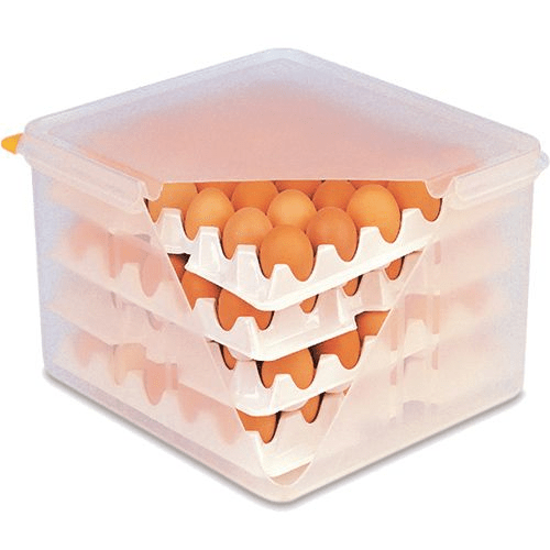 Imagem de Caixa Para Ovos Com 8 Bandejas Branca ARAVEN 1un