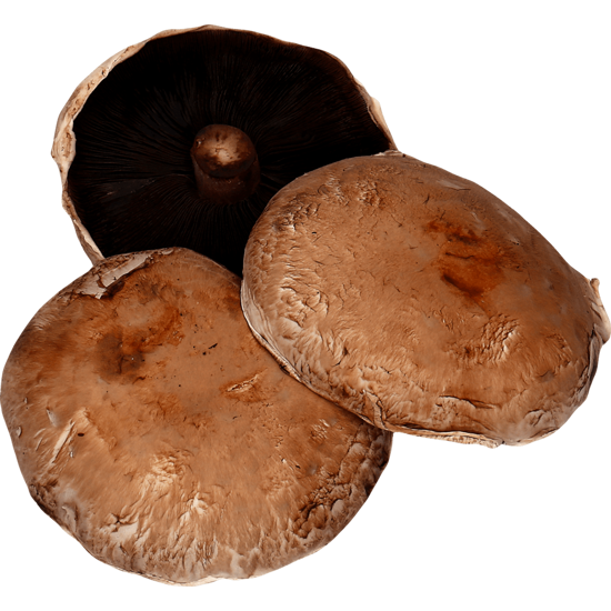 Imagem de Cogumelos Portobello Caixa 1kg