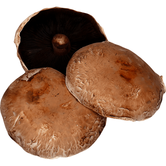 Cogumelos Shitake Embalagem 1kg, Compre no 360hyper