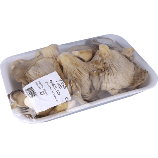 Imagem de Cogumelos Pleurothus Embalagem 500g