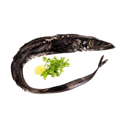 Mostrar detalhes para Peixe Espada Preto Grande Fresco (kg) Imagem de Peixe Espada Preto Grande Fresco (kg)