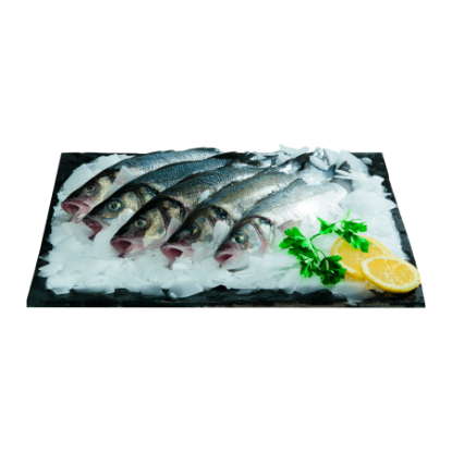 Mostrar detalhes para Robalo 200/300 g Fresco (kg) Imagem de Robalo 200/300 g Fresco (kg)