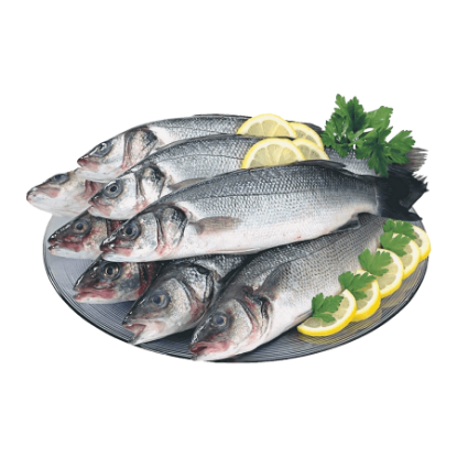 Mostrar detalhes para Robalo 800/1000 g Fresco (kg) Imagem de Robalo 800/1000 g Fresco (kg)