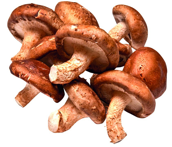 Cogumelo Shitake Shiitake 500g