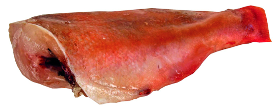 Imagem de Red Fish Aparado 200/300 Congelado (kg)