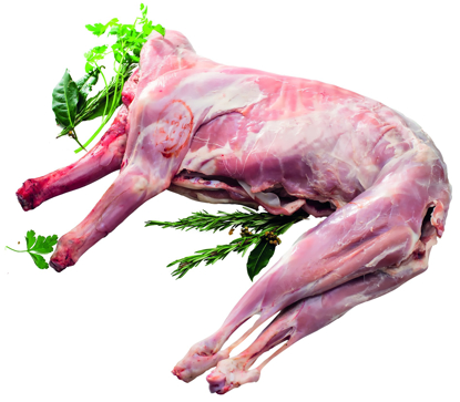 Mostrar detalhes para Cabrito sem Cabeça Congelado (kg) Imagem de Cabrito sem Cabeça Congelado (kg)