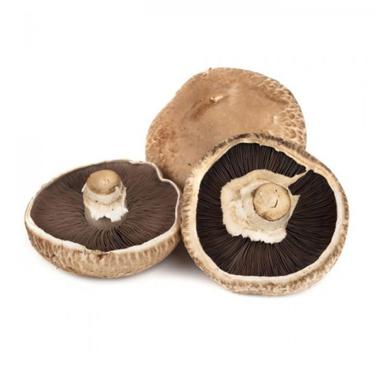 Cogumelo Shitake (kg), Compre no 360hyper