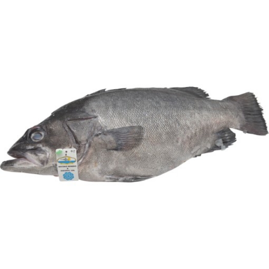 Imagem de Cherne Importado 5/10kg Fresca (kg)