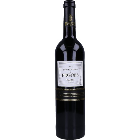 Imagem de Vinho Tinto Península de Setúbal FONTANÁRIO DE PEGÕES 75cl