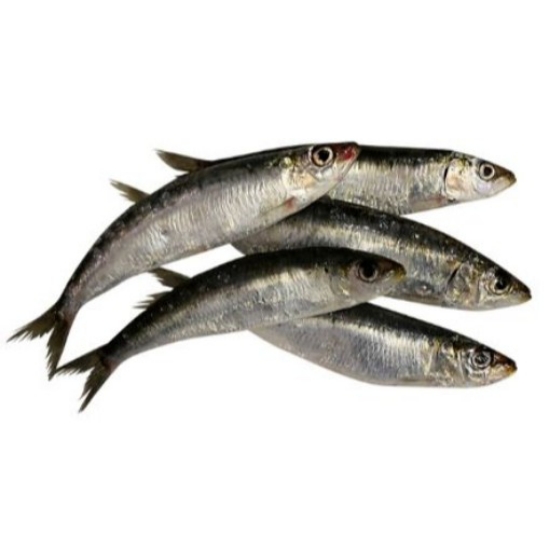 Imagem de Direto Da Lota - Sardinha Grande