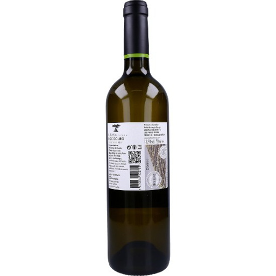 Imagem de Vinho Branco Dão Doc CUNHA MARTINS 75cl