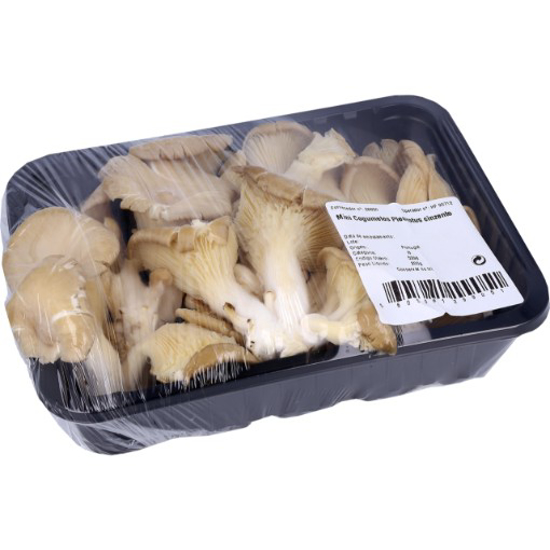 Imagem de Mini Cogumelos Pleurothus Categoria 1 Cuvete 200g