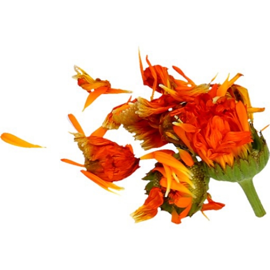 Imagem de Flor Decorativa Calendula Cuvete 10g