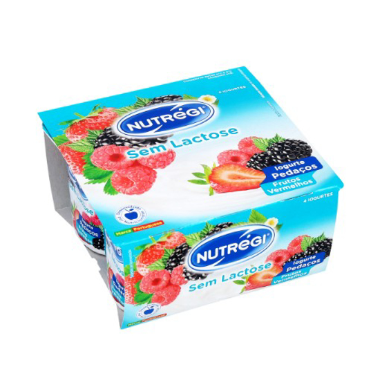 Imagem de Iogurte Com Pedaços de Frutos Vermelhos Sem Lactose NUTRÉGI 4x120g