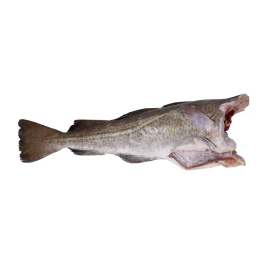 Imagem de Bacalhau Sem Cabeça Fresco 2/4kg (kg)