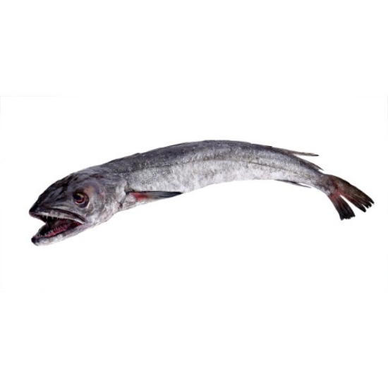 Imagem de Pescada Importada Rede 1-2kg Fresca (kg)