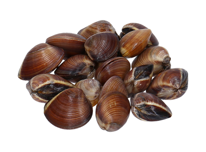 Mostrar detalhes para Amêijoa Vietnamita Com Casca Castanha 1kg Congelada (kg) Imagem de Amêijoa Vietnamita Com Casca Castanha 1kg Congelada (kg)