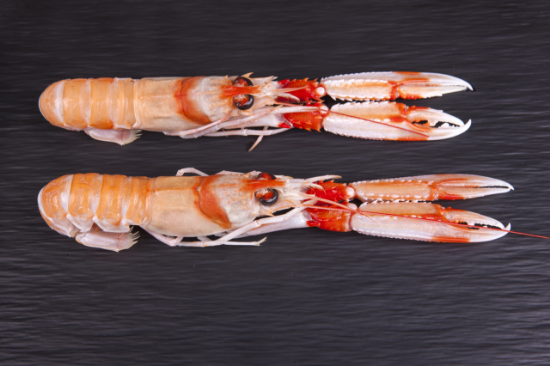Imagem de Lagostim Frcru 11/13P/Kg N2 Costa Alg