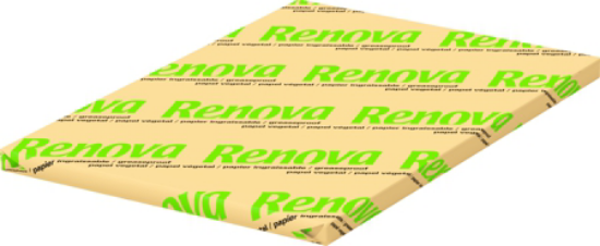 Imagem de Papel Vegetal 38G 75X100 Branco RENOVA 