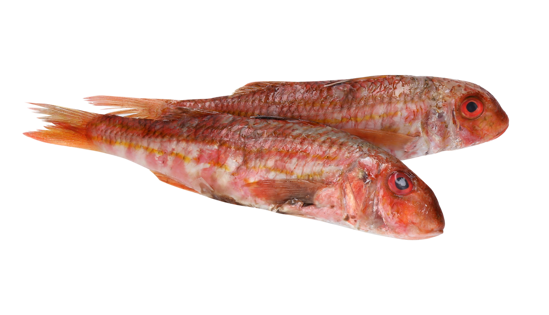 Imagem de Salmonete 400g Fresco (kg)