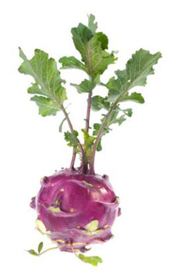 Imagem de Couve Rabano Verde/Roxo (kg)