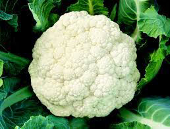 Imagem de Couve Flor (kg)