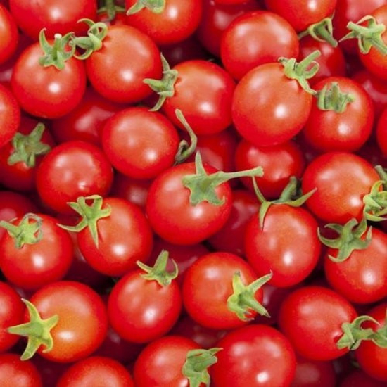 Imagem de Tomate Cereja (kg)
