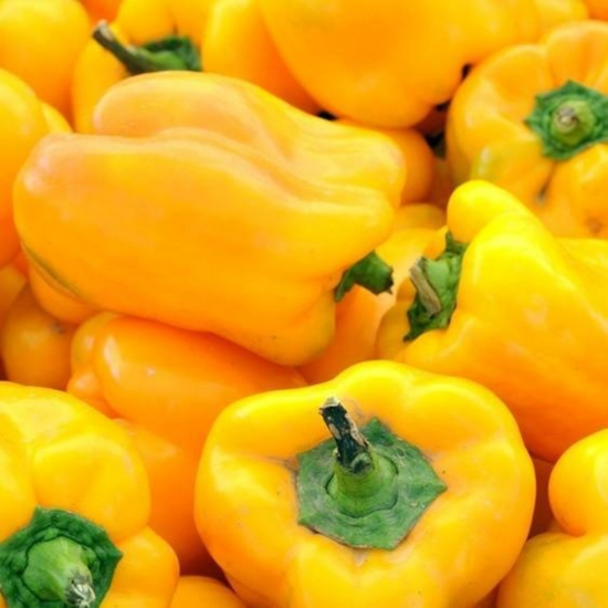 Imagem de Pimento Amarelo (kg)