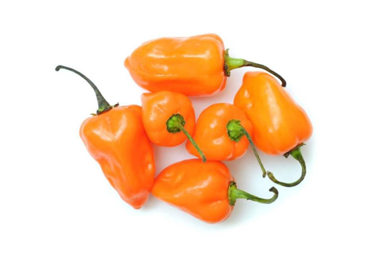 Imagem de Habanero (kg)