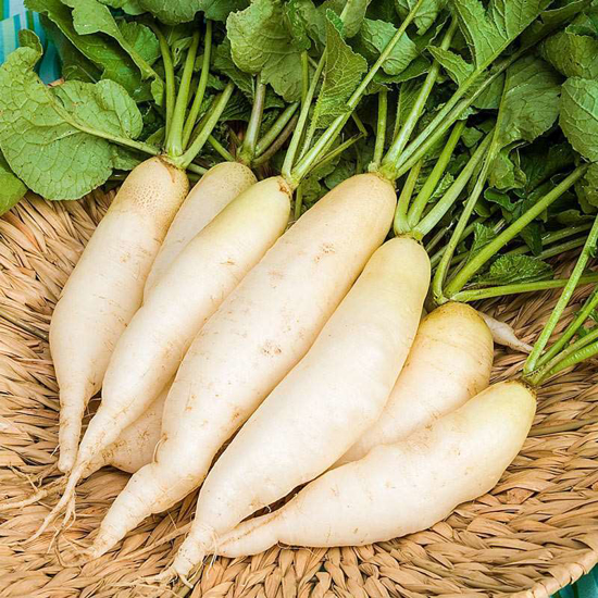 Imagem de Daikon (kg)