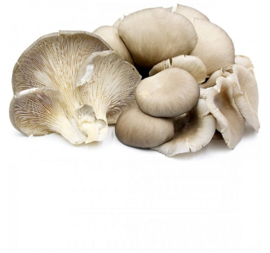 Imagem de Cogumelos Pleurotus Cinzentos/Brancos (kg)