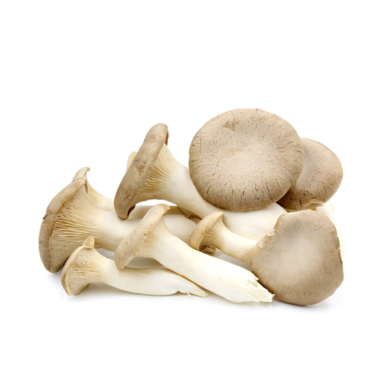 Imagem de Cogumelos Pleurotus Eryngii (kg)