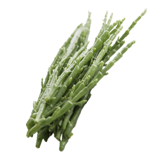 Imagem de Sarcocórnia SALINA GREENS emb.100g