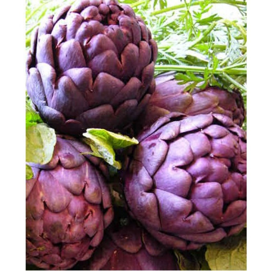 Imagem de Alcachofra Branca/Violeta (kg)