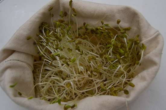 Imagem de Germinados De Fenogreco 50g