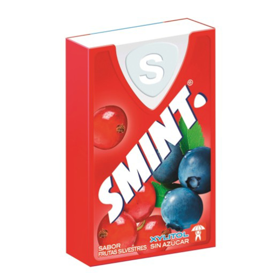 Imagem de Rebuçados Frutos Silvestres SMINT emb.8g