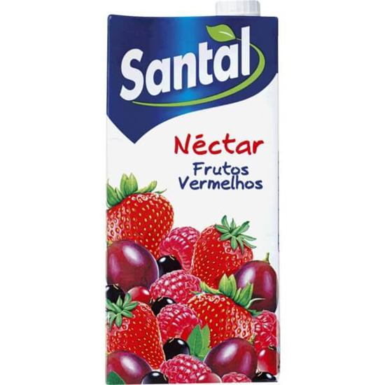 Imagem de Néctar Frutos Vermelhos SANTAL emb.1L