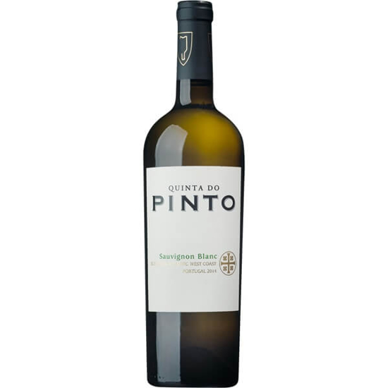 Imagem de Vinho Branco de Lisboa Sauvignon Blanc QUINTA DO PINTO garrafa 75cl