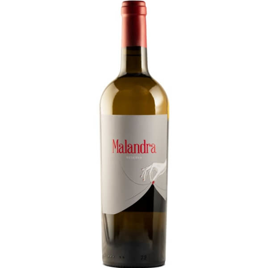 Imagem de Vinho Branco do Alentejo Reserva MALANDRA garrafa 75cl