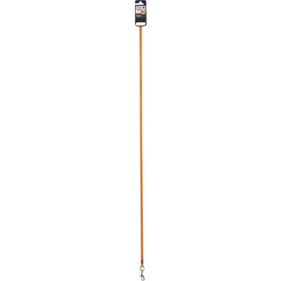 Imagem de Trela para Cão Nylon 10 mm 100 cm Laranja TUCHI emb.1 unidade