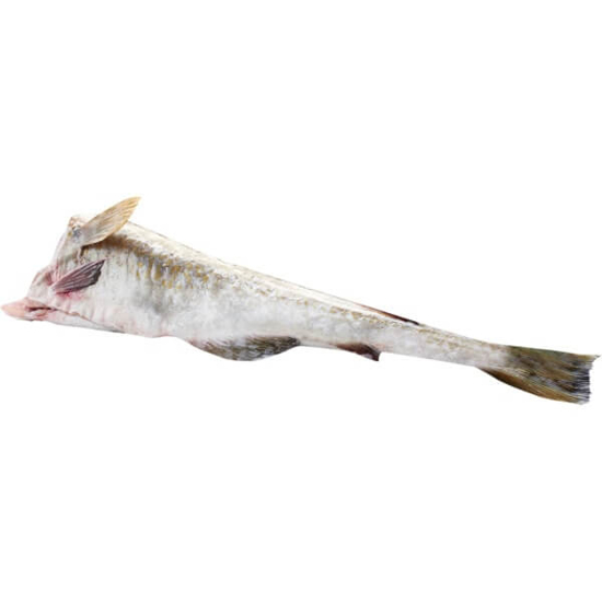 Imagem de Bacalhau Skrei (kg)