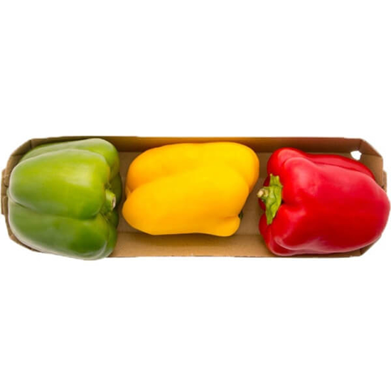 Imagem de Pimento Tricolor PLAT. emb.500g